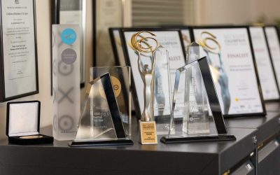 The $1 Million Revenue Trap